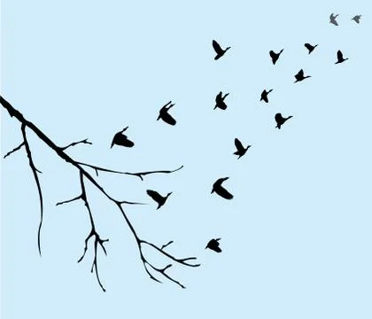 Birds Stock Illustration