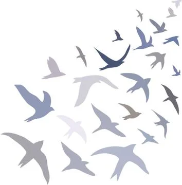 Birds Stock Illustration