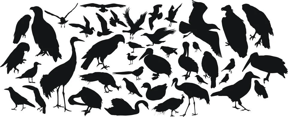 Birds Illustrazione stock