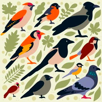 Birds Stock Illustration