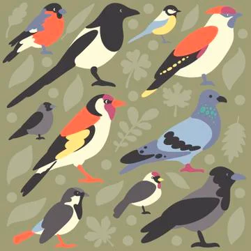 Birds Stock Illustration