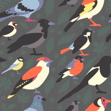Birds Stock Illustration