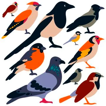 Birds Stock Illustration