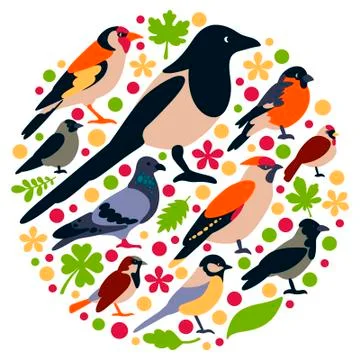 Birds Stock Illustration