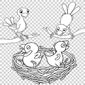 Birds Stock Illustration