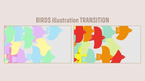 Birds illustration transition set 動画素材 310588342