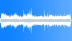Birds Insects Forest Jungle Ambience 2 Sound Effect