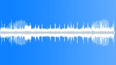 Birds Insects Forest Jungle Ambience 1Sound Effect