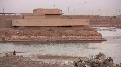 Birds in Iraq Stock Footage 1091580