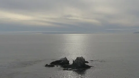 Birds on isolated rocks Stock Footage 77010860