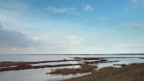 Birds in lagoon Stock Footage 86163061