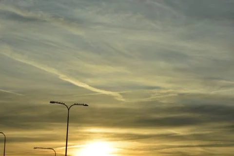 Birds on a light Stock Photos
