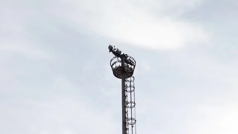 Birds on a Light Tower (Slow Motion) Stock Footage 265584232