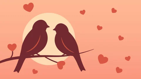Birds love 스톡 동영상 323239397