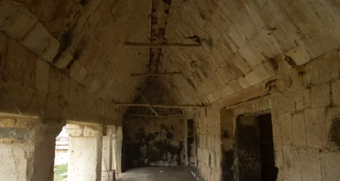 Birds in Mexico Video stock 211414571