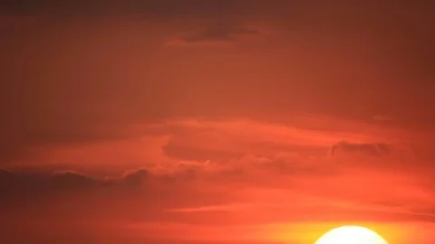 Birds migrate in evening sky Stock Footage 81490146