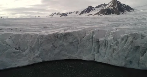 Birds migrating in the Arctic circle, flying close to an ice sheet, Aerial view Stock-Footage 297533443