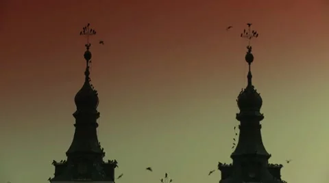 Birds of the monastery Stock Footage 10793881