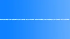 Birds in the Morning by the Lake - ambient, background 02 Sound Effect