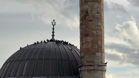 Birds on the Mosque Dome Stock Footage 327859899