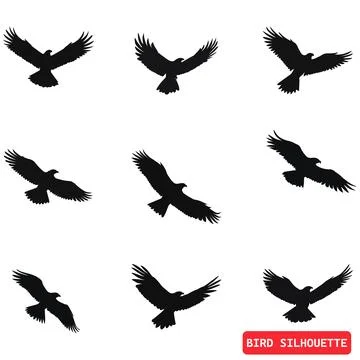 Birds in Motion Dynamic Bird Silhouettes for Graphic Design Stock Illustration