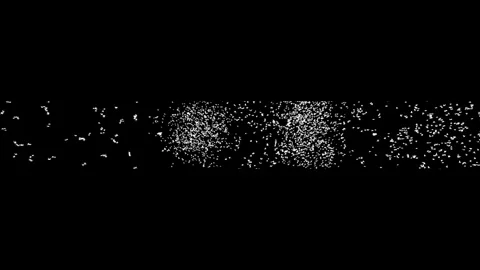 Birds Muliscreen1 Stock Footage 340519769