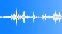 Birds in natural surroundings with distant thunder (recording) Sound Effect