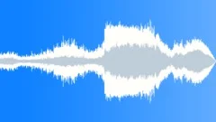 Birds, nature and car driving awaySound Effect