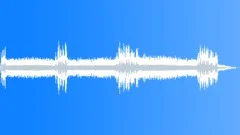 Birds in Nature Sound Effect
