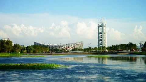 Bird's nest cloud Stock Footage 171556737