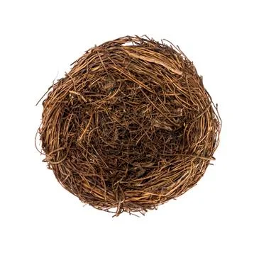Bird's nest, Easter mood. Stock Photos