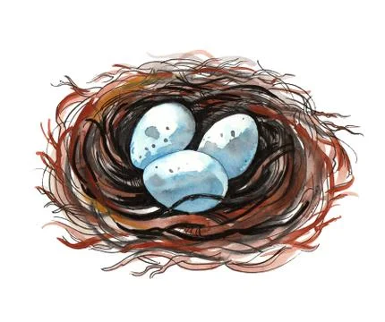 Birds nest with eggs Stock-Illustration