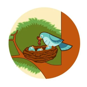 Bird's nest Stock Illustration