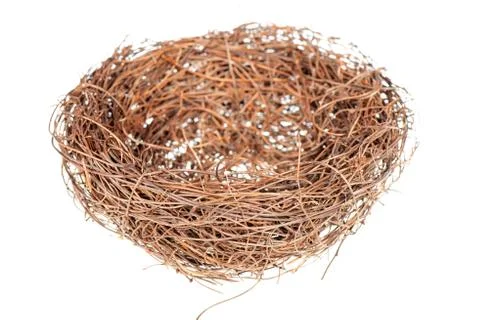Bird's nest Stock Photos