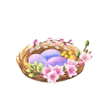 Bird's nest with purple eggs, branches with willow, mimosa and sakura flowers Stock Illustration