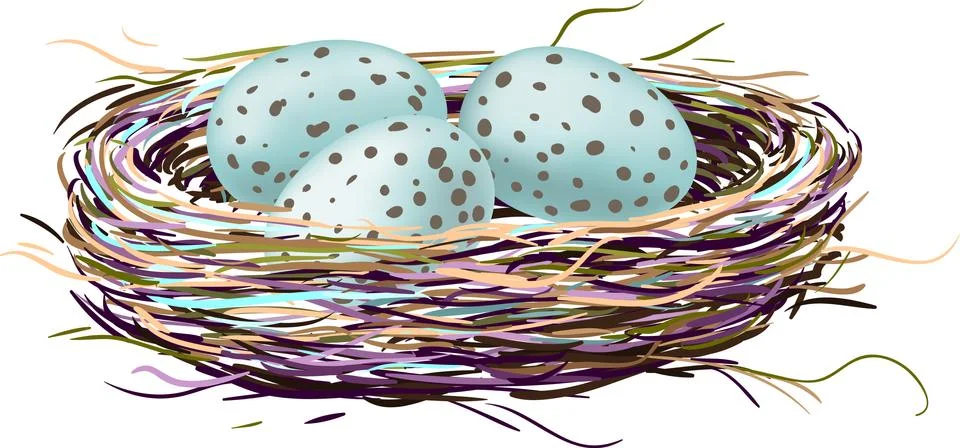 Bird's nest with robin eggs Stock Illustration