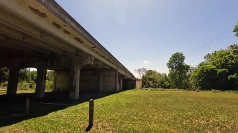 Birds nesting and feeding beneath a bridge in Floresville Texas Stock Footage 271218971