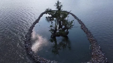Birds nesting island in a huge Vrkoč pond by Pohorelice Czech republic-aerial  Stock Footage 207222817