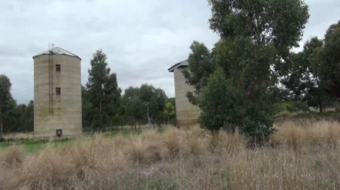 Birds on old building Stock Footage 36720329