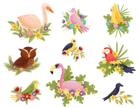 Birds ollection on white background. Animals and spring. Illustrazione stock