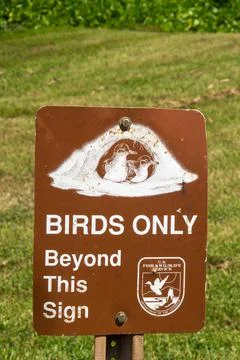 Birds only Stock Photos