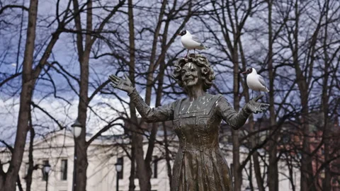 Birds in Oslo Stock Footage 267045631