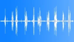 BIRDS OUTSIDE (Sound Effect)Sound Effect