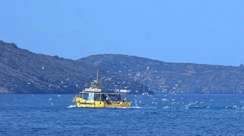 Birds over the boat Video stock 64736262