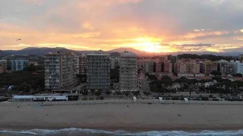 Birds Over the Coast in Sunset Stock Footage 113458480