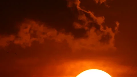 Birds over disk of sunset sun Stock Footage 125133184