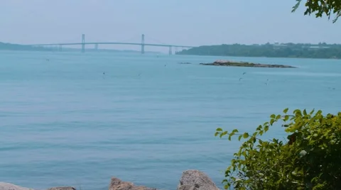Birds over the ocean bridge in background Stock Footage 67289566