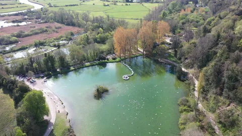 Birds over pond 動画素材 168373170