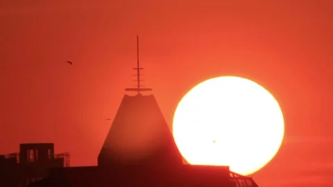 Birds over tower in sunset Stock Footage 83771442