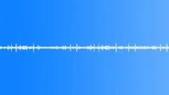 Birds park ambience 02 loop Sound Effect